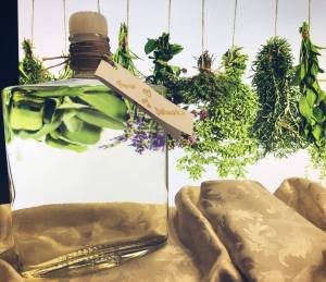 13181196_10209305689976698_987782323_n