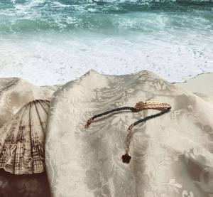 13214501_659980030816169_478984887_o